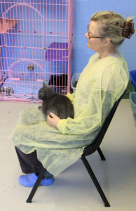 Offering Reiki while on my lap, and to the caged cat next to me, in an adoption room.